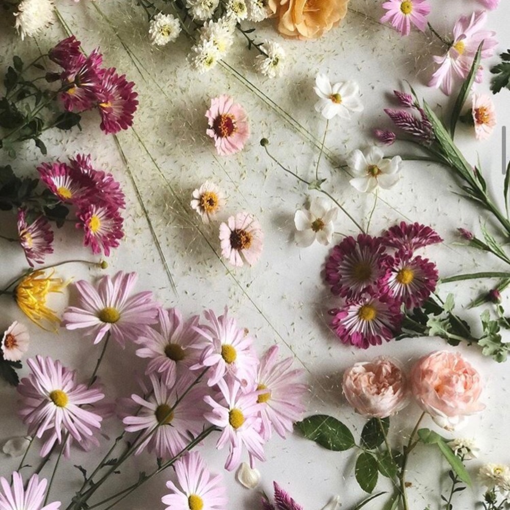 Cultivating and curating
